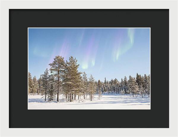 Purple And Green Aurora Over Snow