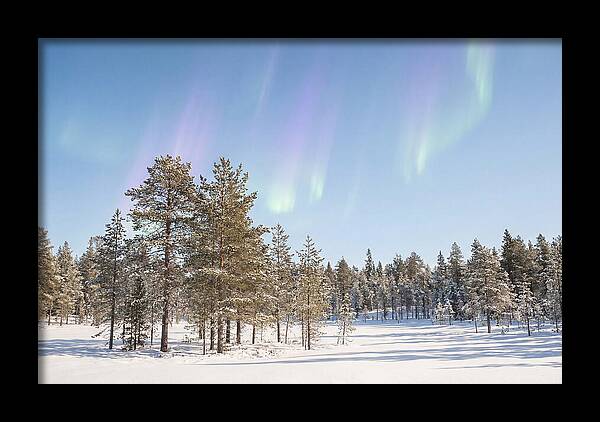 Purple And Green Aurora Over Snow