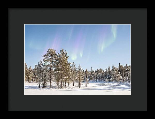 Purple And Green Aurora Over Snow