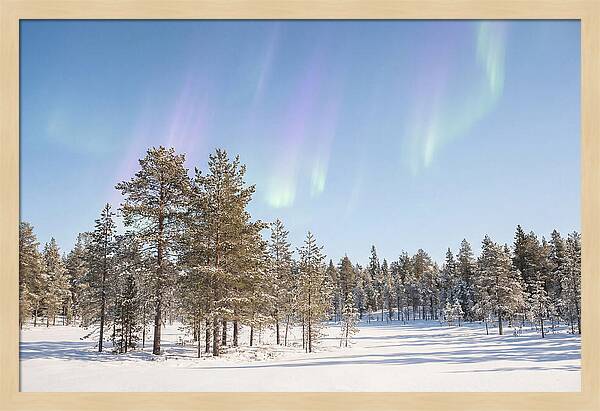 Purple And Green Aurora Over Snow