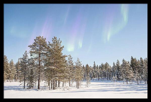 Purple And Green Aurora Over Snow