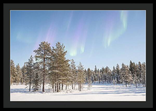 Purple And Green Aurora Over Snow