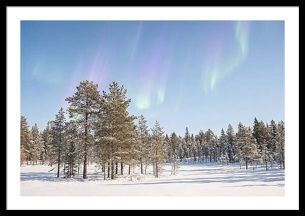Purple And Green Aurora Over Snow