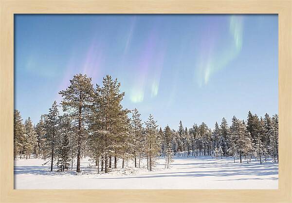 Purple And Green Aurora Over Snow