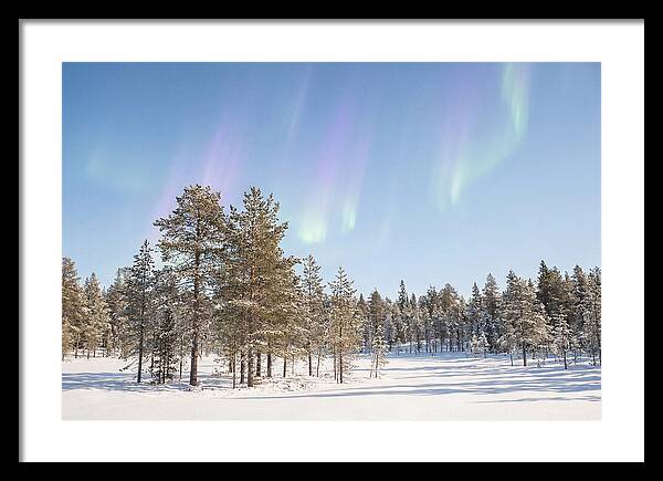 Purple And Green Aurora Over Snow