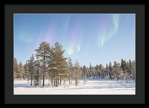 Purple And Green Aurora Over Snow
