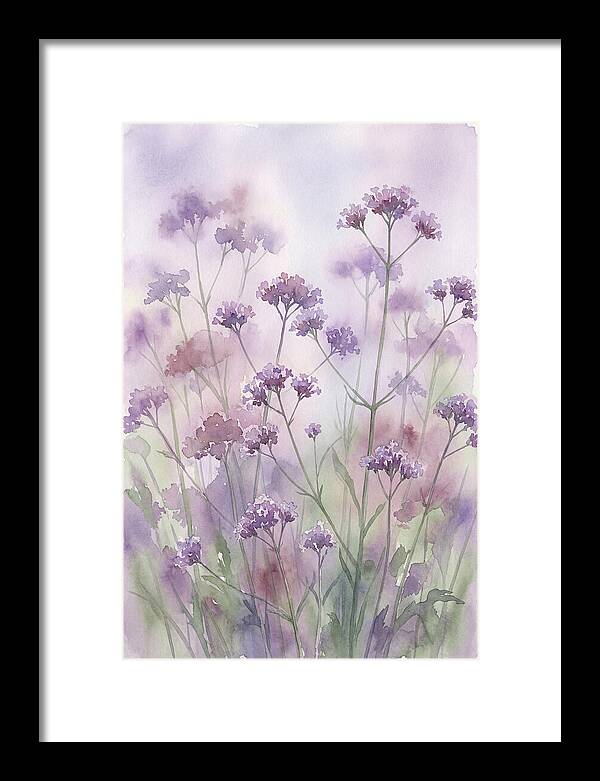 Purple Cloud Of Verbena Bonariensis