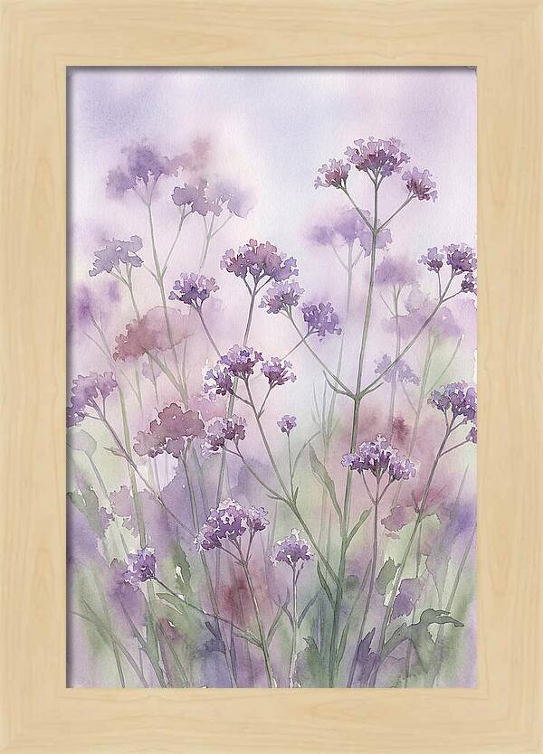 Purple Cloud Of Verbena Bonariensis