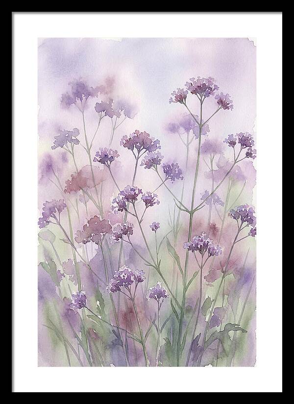 Purple Cloud Of Verbena Bonariensis