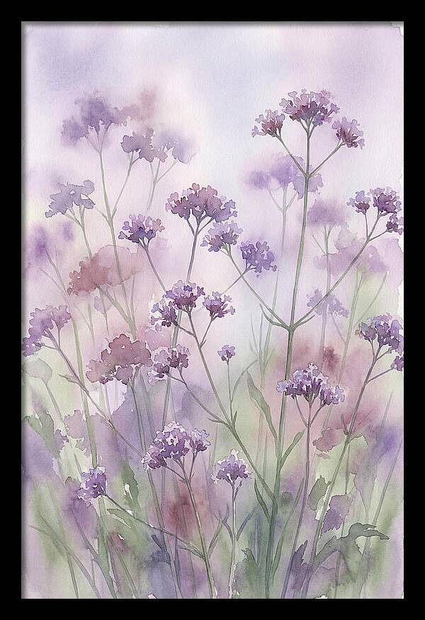 Purple Cloud Of Verbena Bonariensis