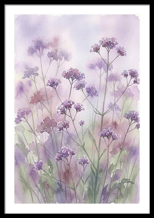 Purple Cloud Of Verbena Bonariensis