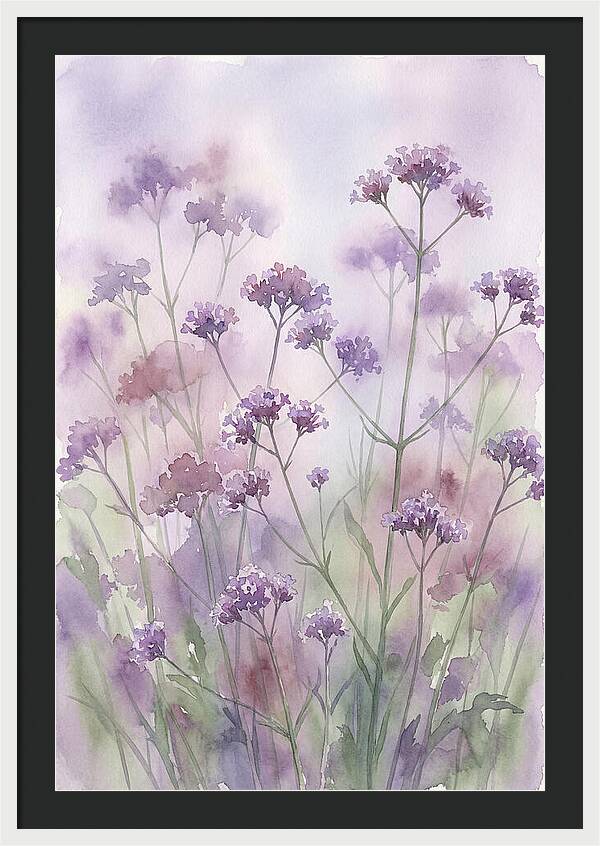 Purple Cloud Of Verbena Bonariensis