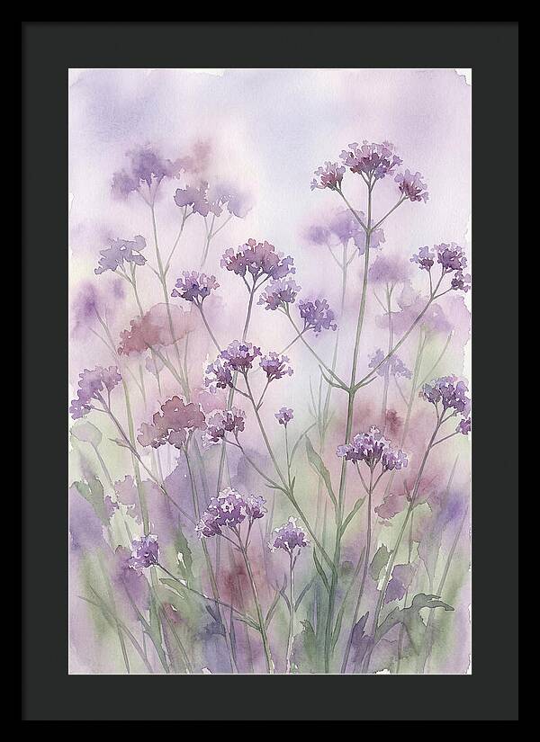Purple Cloud Of Verbena Bonariensis