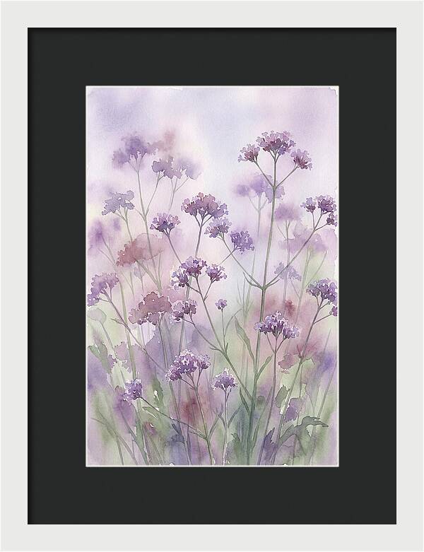Purple Cloud Of Verbena Bonariensis