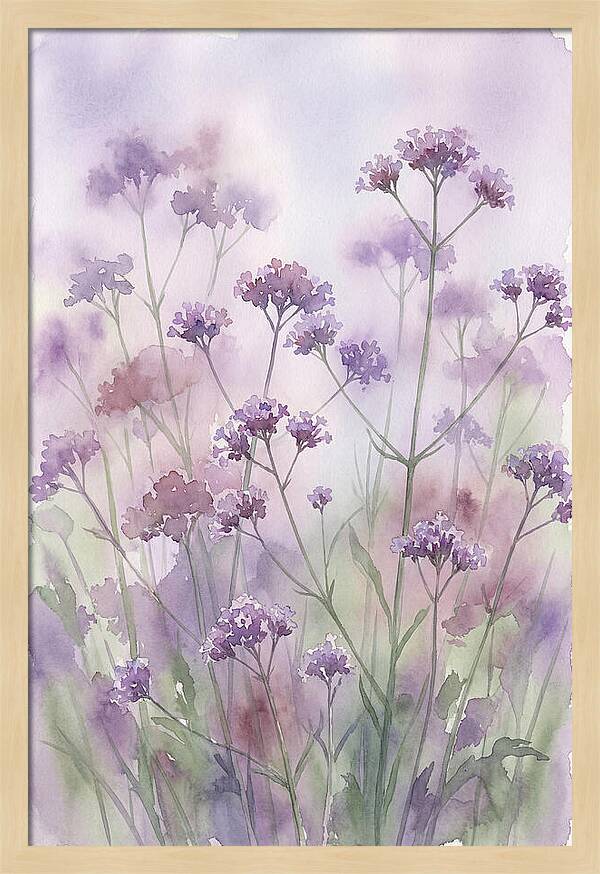 Purple Cloud Of Verbena Bonariensis