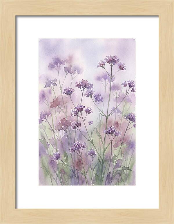Purple Cloud Of Verbena Bonariensis