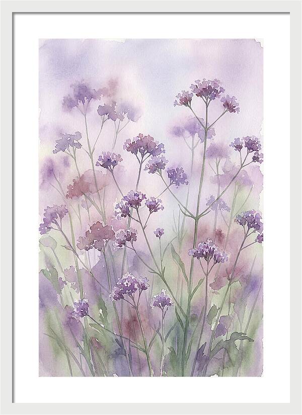 Purple Cloud Of Verbena Bonariensis