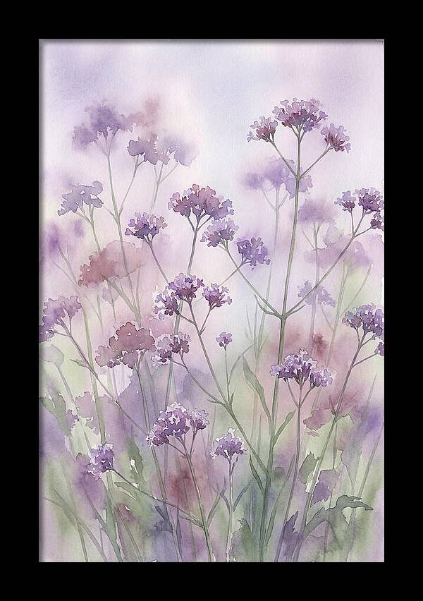 Purple Cloud Of Verbena Bonariensis