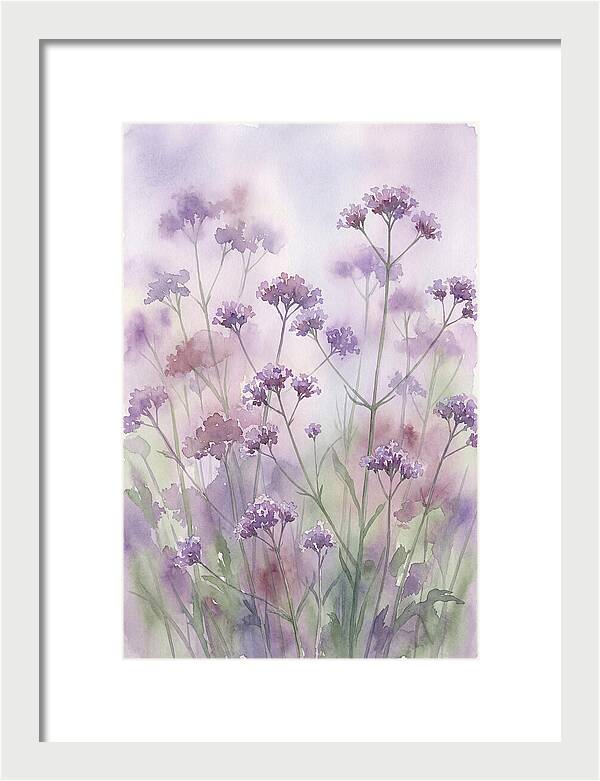 Purple Cloud Of Verbena Bonariensis