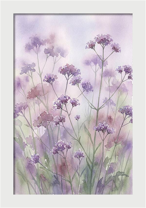 Purple Cloud Of Verbena Bonariensis