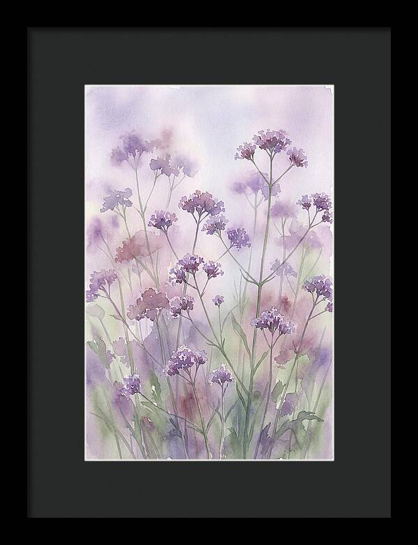 Purple Cloud Of Verbena Bonariensis