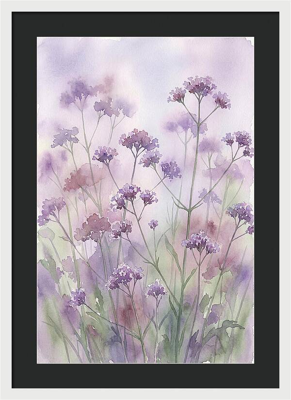 Purple Cloud Of Verbena Bonariensis