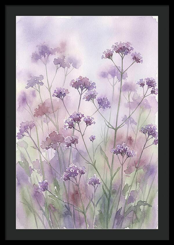 Purple Cloud Of Verbena Bonariensis