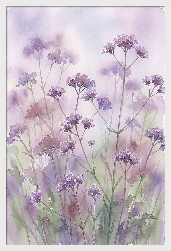 Purple Cloud Of Verbena Bonariensis