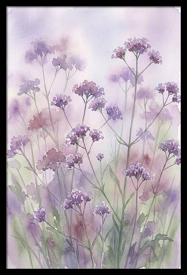 Purple Cloud Of Verbena Bonariensis