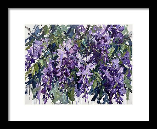 Purple Wisteria Blooms