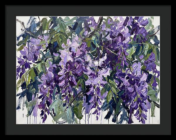Purple Wisteria Blooms
