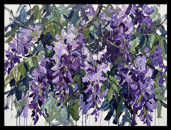Purple Wisteria Blooms