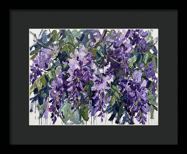 Purple Wisteria Blooms