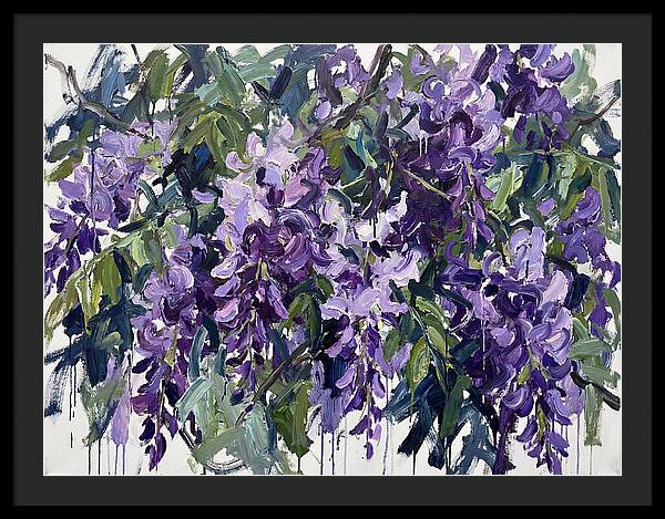 Purple Wisteria Blooms