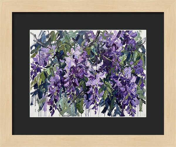 Purple Wisteria Blooms