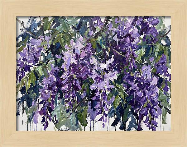 Purple Wisteria Blooms