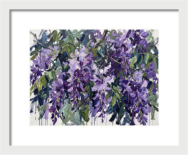 Purple Wisteria Blooms