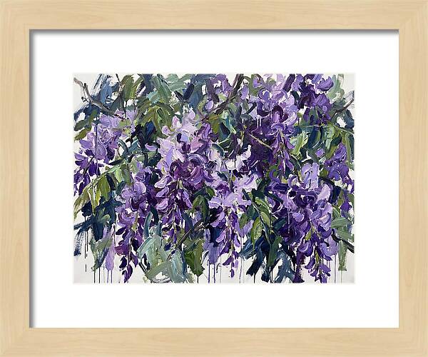 Purple Wisteria Blooms