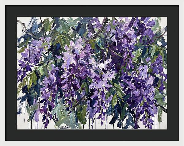 Purple Wisteria Blooms