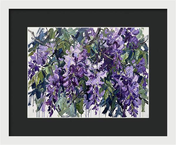 Purple Wisteria Blooms