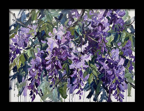 Purple Wisteria Blooms