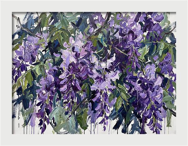 Purple Wisteria Blooms