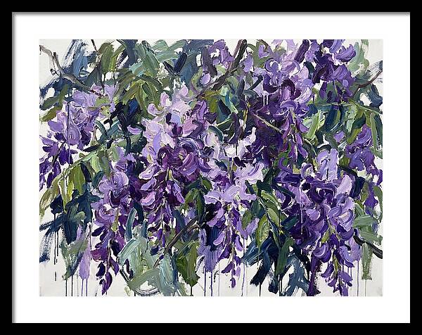 Purple Wisteria Blooms
