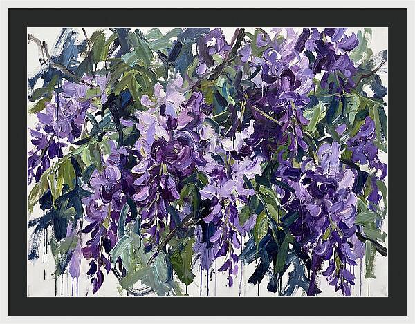 Purple Wisteria Blooms