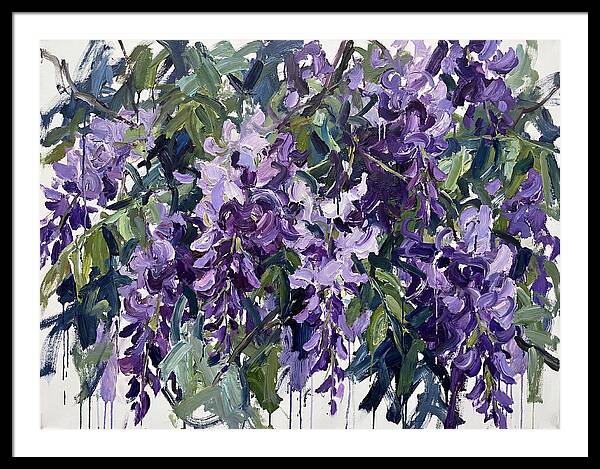 Purple Wisteria Blooms