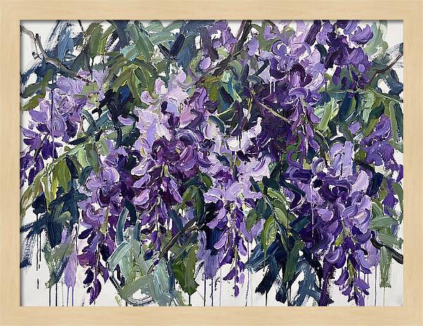 Purple Wisteria Blooms