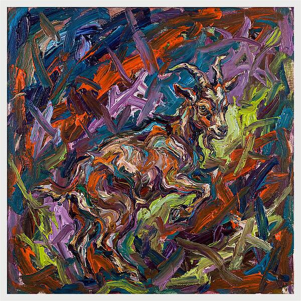 Pygmy Goat In Expressionist Style