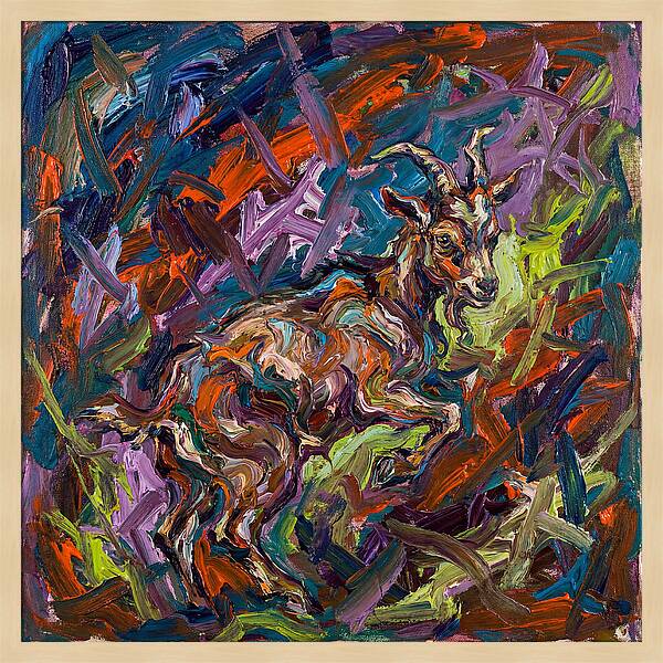Pygmy Goat In Expressionist Style