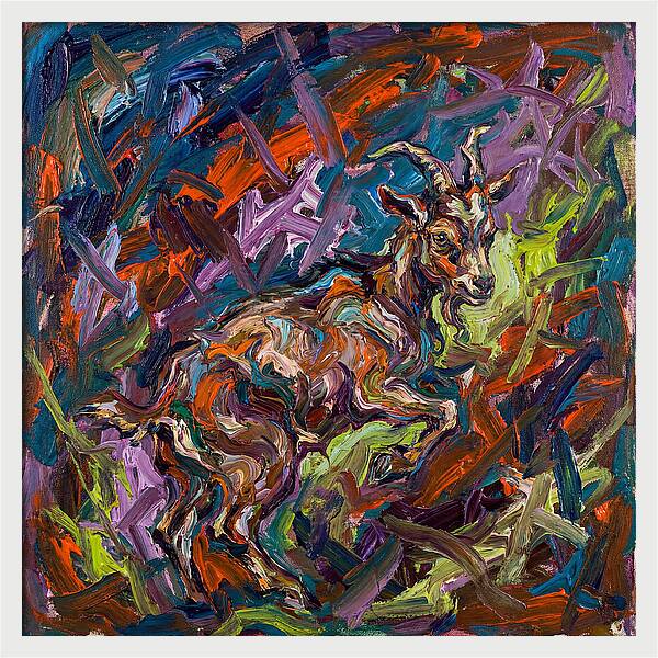 Pygmy Goat In Expressionist Style