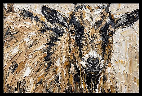 Pygmy Goat Portrait